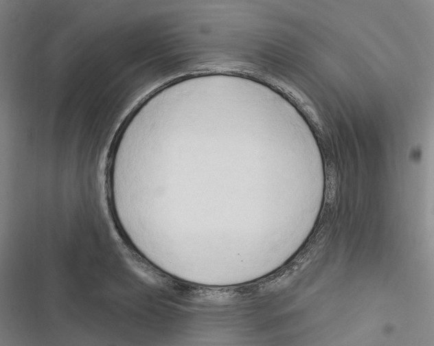 X0000116281039201001111031