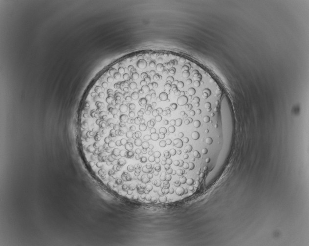 X0000116281040201001111031