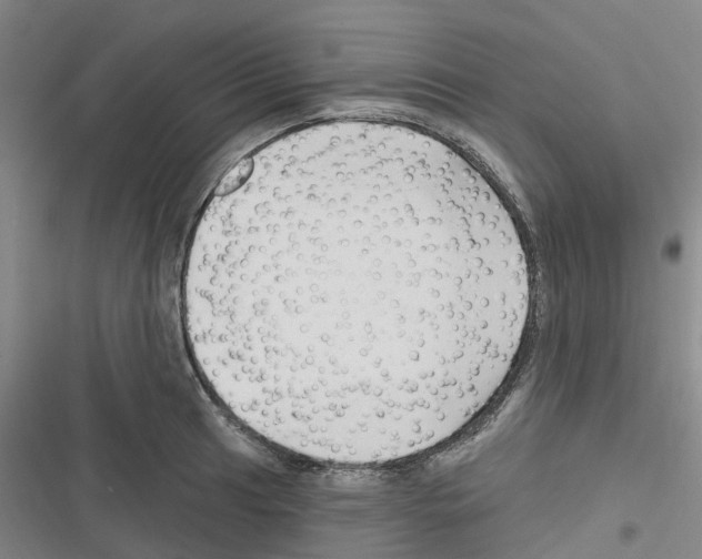 X0000116281041201001111031