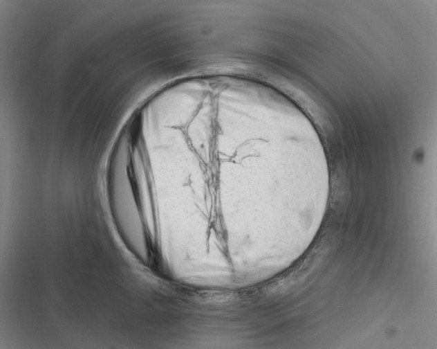 X0000116281047201001111031
