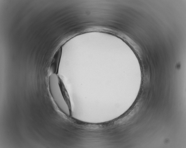 X0000116281049201001111031