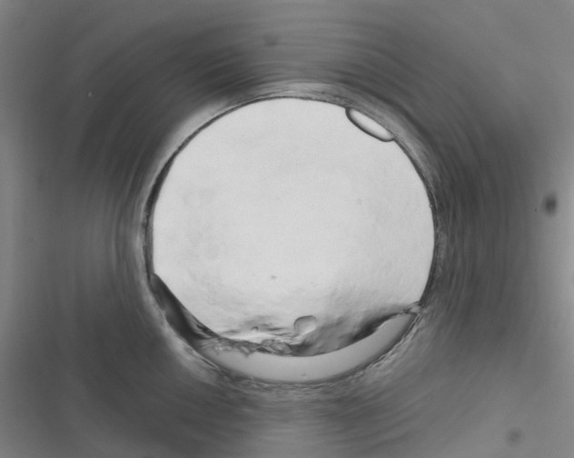 X0000116281050201001111031