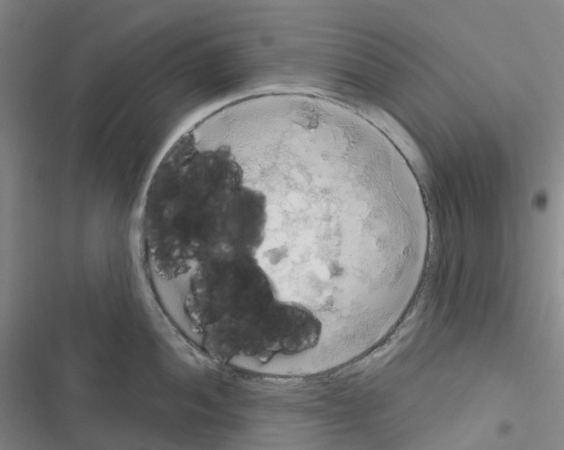 X0000116281052201001111031