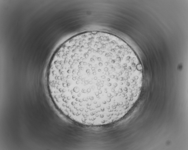 X0000116281053201001111031