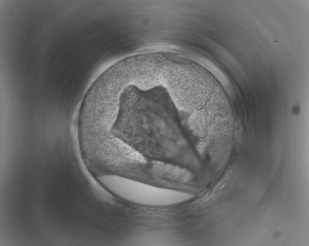 X0000116281055201001111031