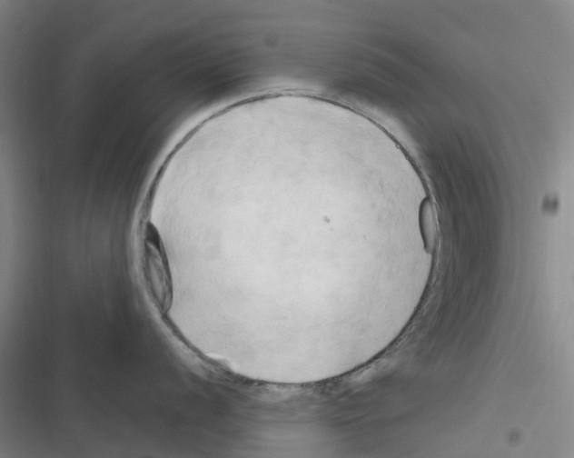 X0000116281056201001111031