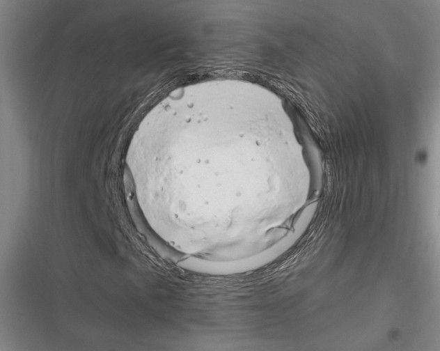 X0000116281057201001111031