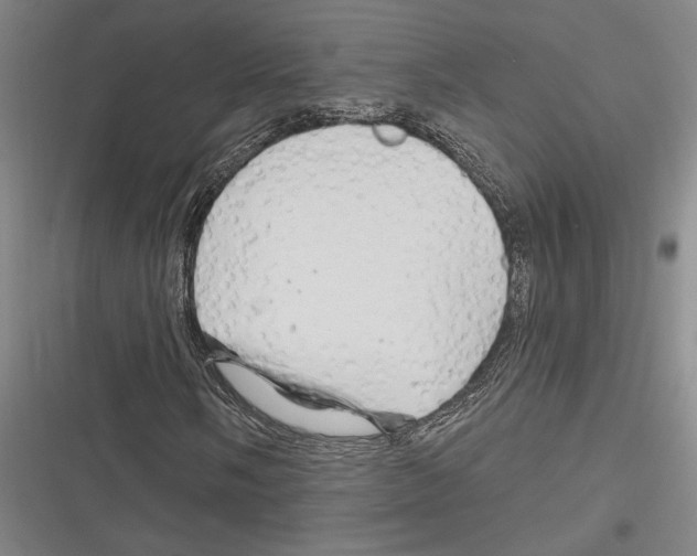X0000116281058201001111031