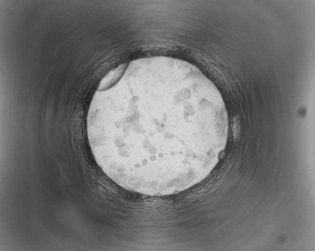 X0000116281059201001111031