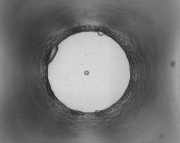 X0000116281061201001111030