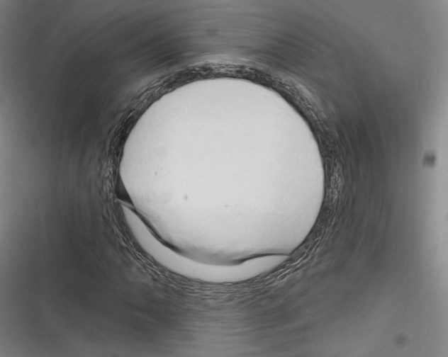 X0000116281062201001111030