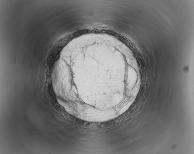 X0000116281063201001111030