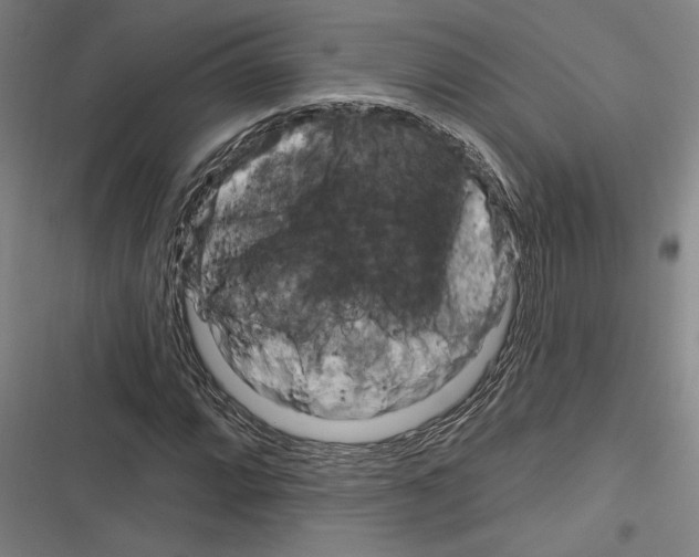 X0000116281064201001111030