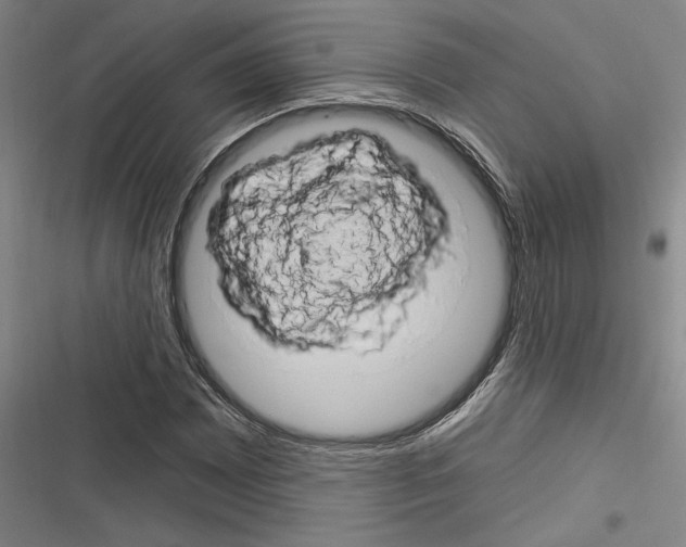 X0000116281065201001111030
