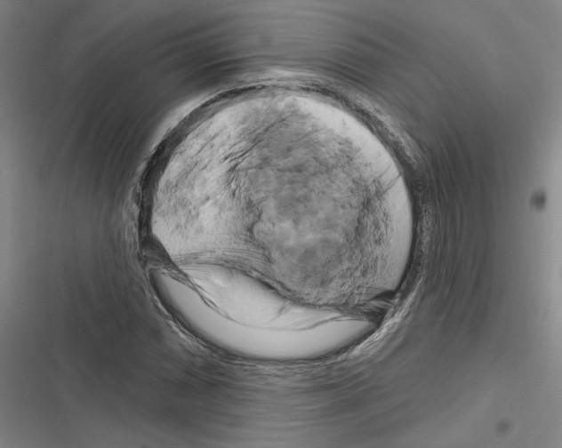 X0000116281066201001111030
