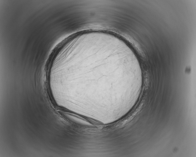 X0000116281070201001111030