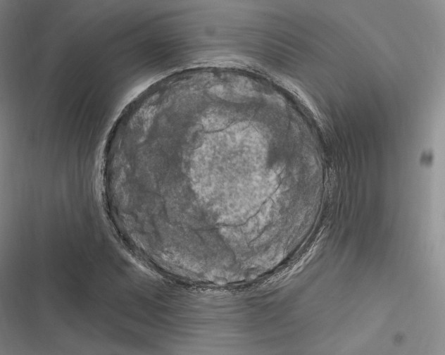 X0000116281071201001111030