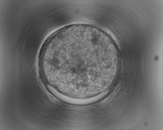 X0000116281072201001111030