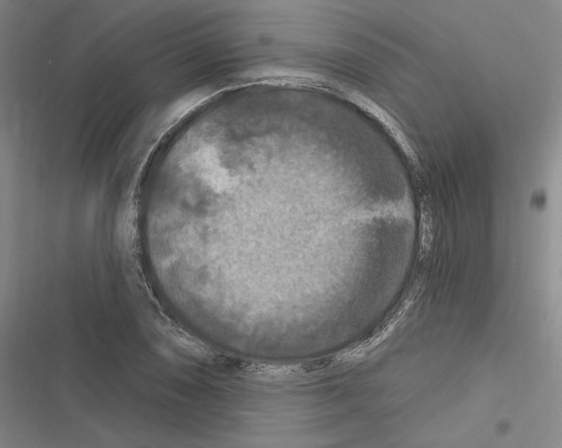 X0000116281074201001111030