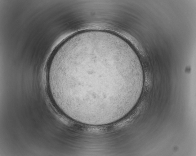 X0000116281078201001111030