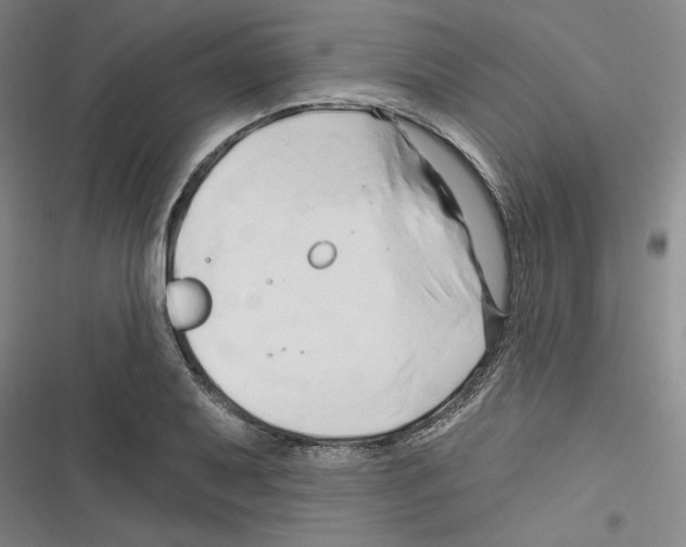 X0000116281079201001111030