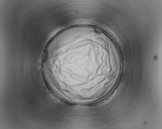 X0000116281081201001111030