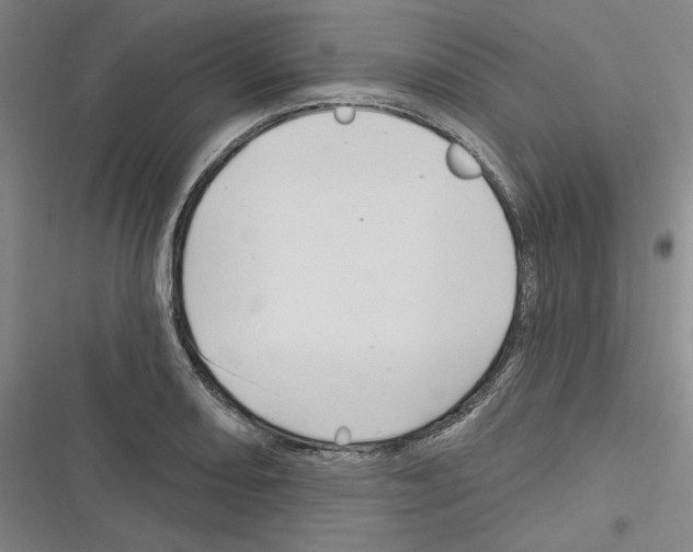 X0000116281082201001111030