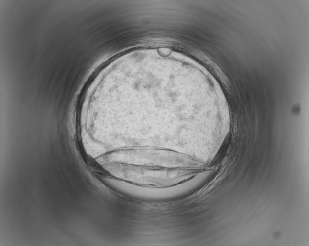 X0000116281083201001111030