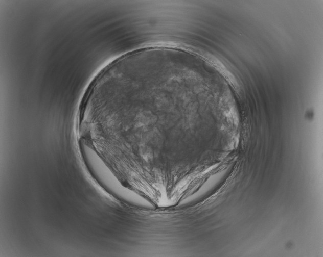 X0000116281084201001111030