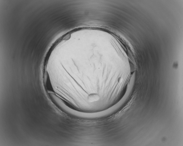 X0000116281085201001111030