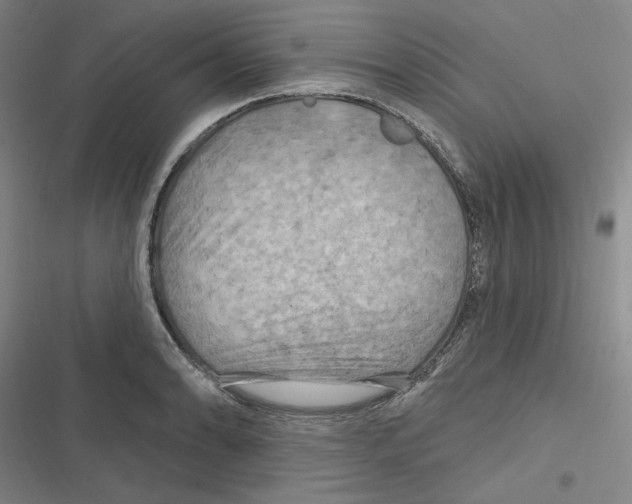 X0000116281086201001111030