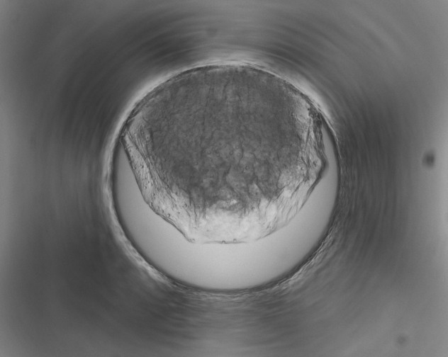 X0000116281088201001111030