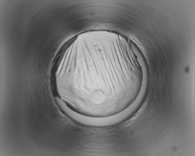 X0000116281089201001111030