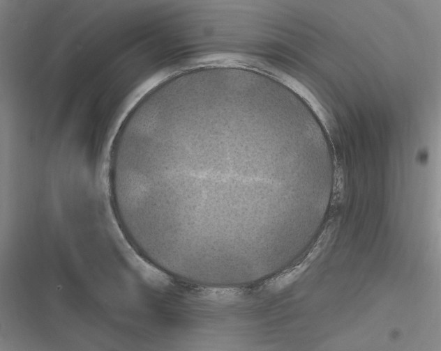 X0000116281090201001111030