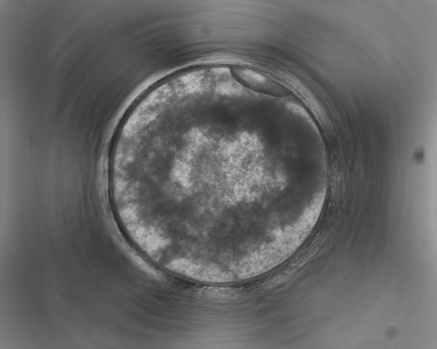X0000116281092201001111030