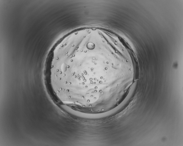 X0000116281093201001111030