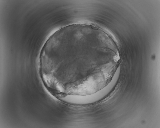 X0000116281095201001111030