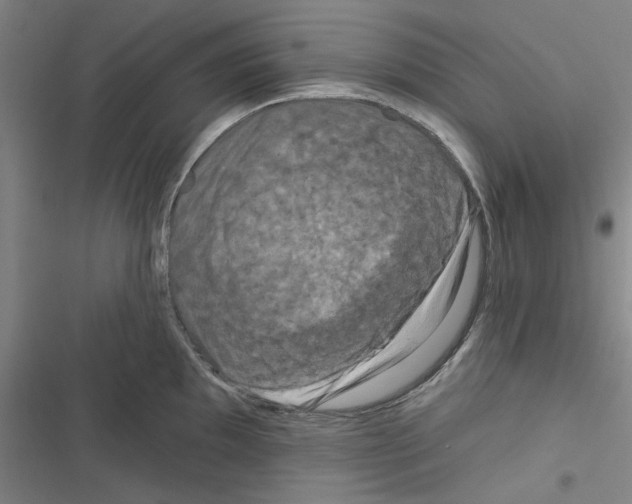 X0000116281097201001111030
