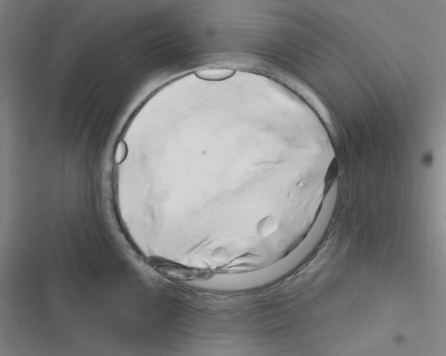 X0000116281099201001111030