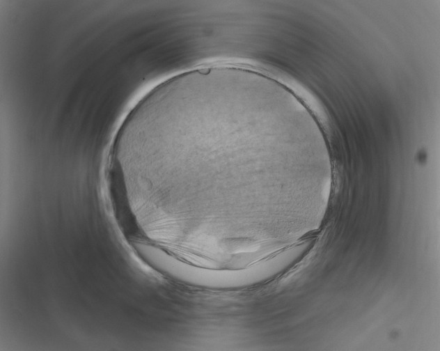 X0000116281102201001111030
