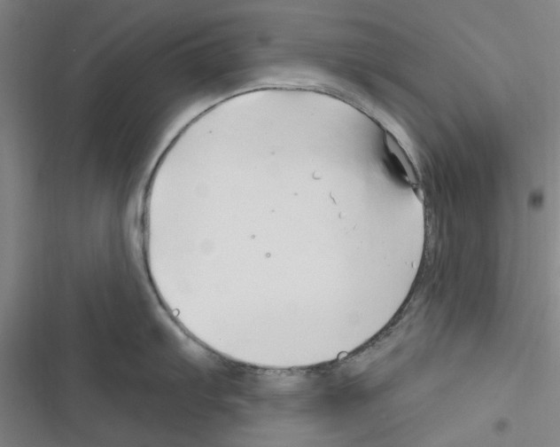 X0000116281103201001111030