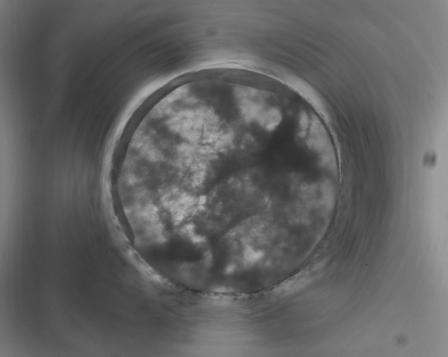 X0000116281104201001111030