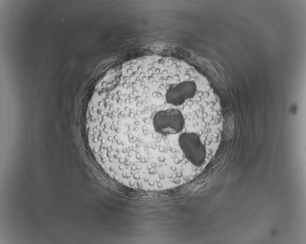 X0000116281105201001111029
