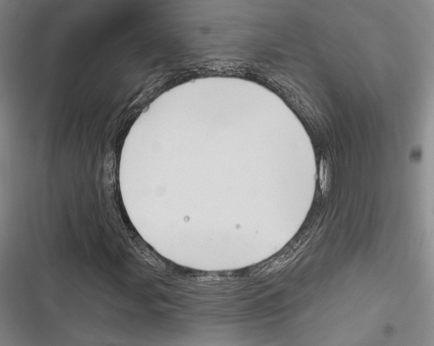 X0000116281107201001111029