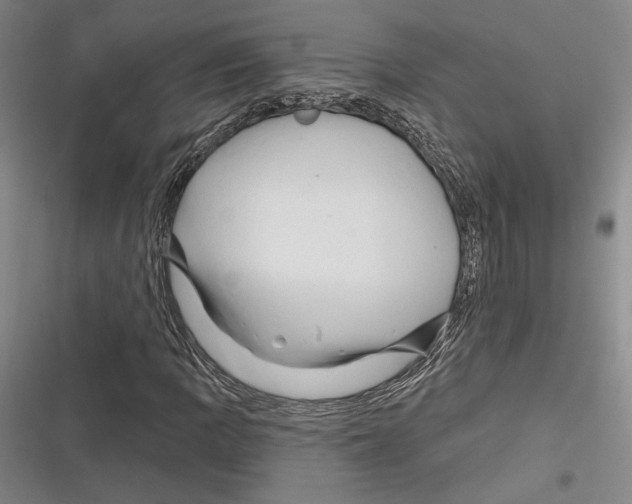 X0000116281109201001111029