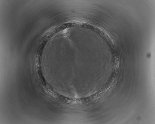 X0000116281110201001111029