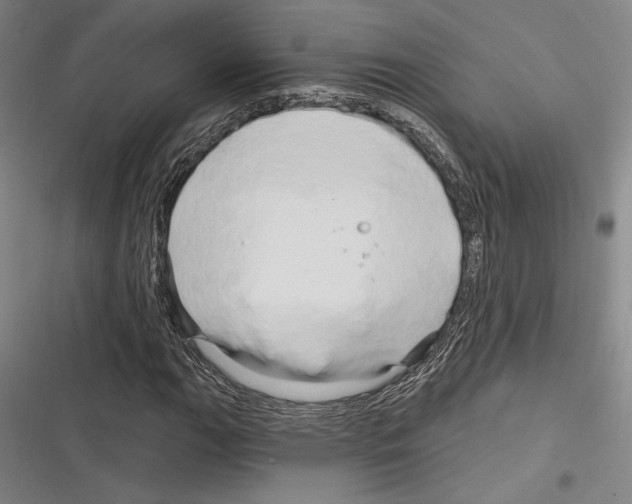 X0000116281111201001111029