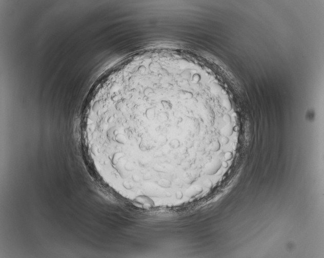 X0000116281113201001111029