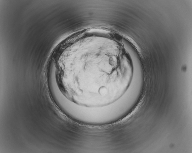 X0000116281114201001111029