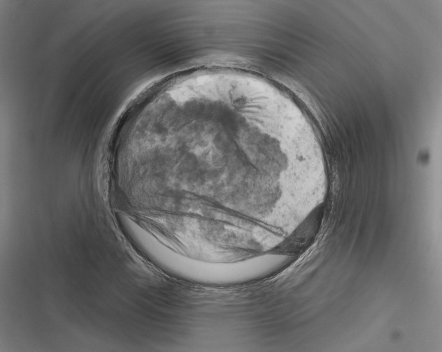 X0000116281115201001111029